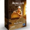 Agricola: Akrylowe elementy