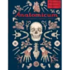 Anatomicum. Muzeum Anatomii