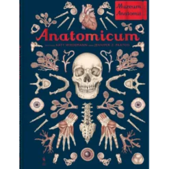 Anatomicum. Muzeum Anatomii
