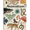 Animalium. Muzeum Zwierząt