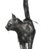 Be Like a Cat: A solo/two-player RPG (hardcover)