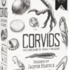 Corvids