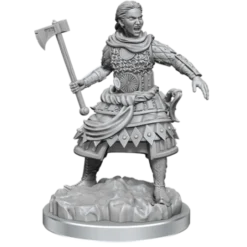 D&D RPG: Nolzurs Marvelous Miniatures - Human Fighters