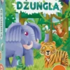 Dżungla: 60 zagadek