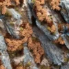 Gamers Grass: Autumn Shrubs (6 mm)