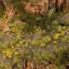 Gamers Grass: Dandelion Tiny Flowers (4 mm)