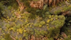 Gamers Grass: Dandelion Tiny Flowers (4 mm)