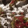 Gamers Grass: Laliguras Flowers (6 mm)