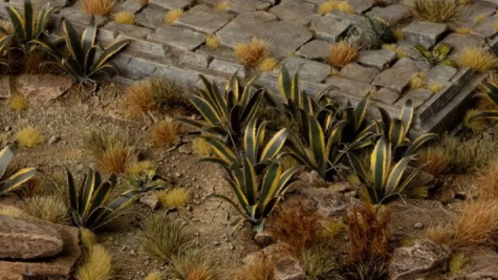 Gamer's Grass: Laser Plants - Agave (Agawa)