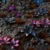 Gamer's Grass: Laser Plants - Alien Rosette (Kosmiczna rozeta)