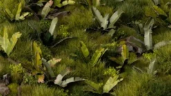 Gamer's Grass: Laser Plants - Banana Tree (Bananowiec)