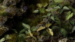 Gamer's Grass: Laser Plants - Elephant Ear (Kolokazja)