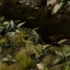 Gamer's Grass: Laser Plants - Lords and Ladies (Obrazki plamiste)