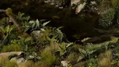 Gamer's Grass: Laser Plants - Lords and Ladies (Obrazki plamiste)