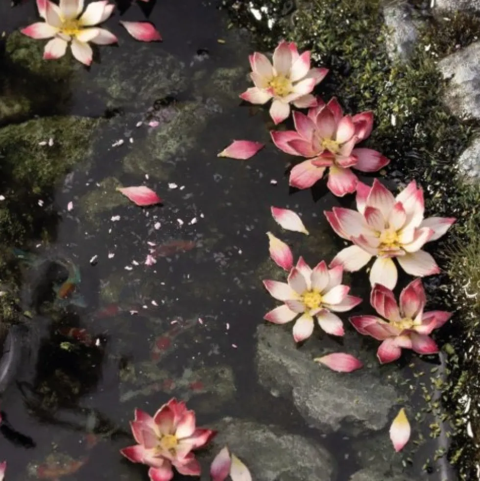 Gamers Grass: Laser Plants - Lotus Flower