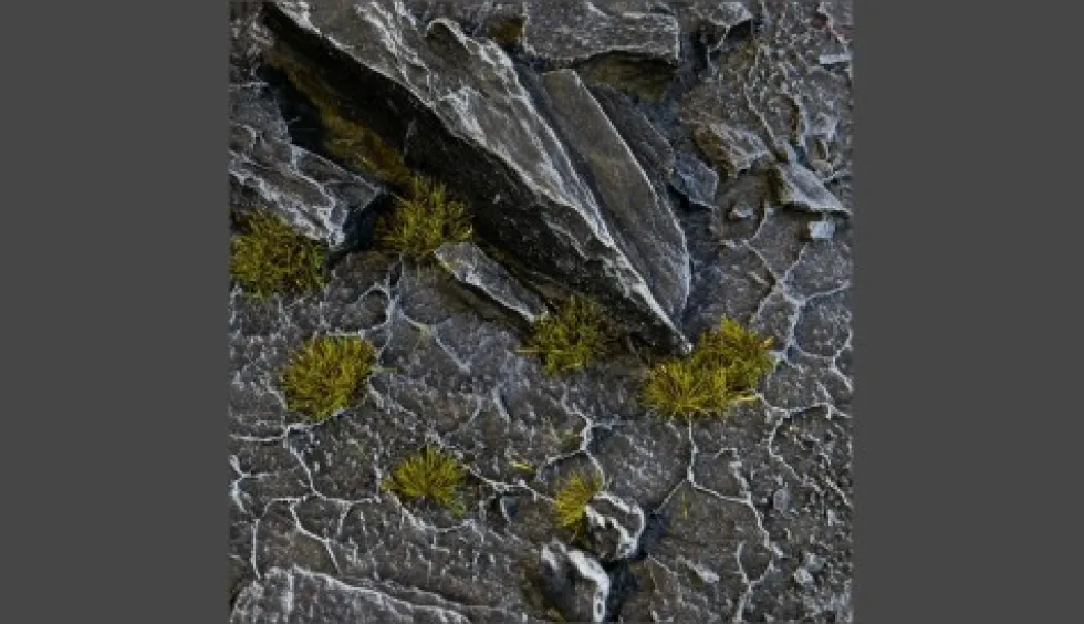 Gamer's Grass Tiny Tufts Dark Moss (2mm)
