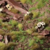 Gamers Grass: Tiny Tufts - Tiny Green (1mm)