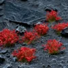 Gamer's Grass Wild Red Flowers
