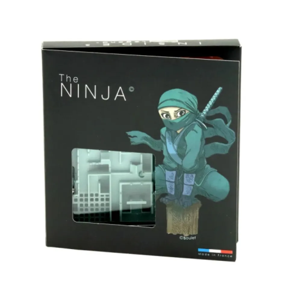 Inside 3 The Ninja