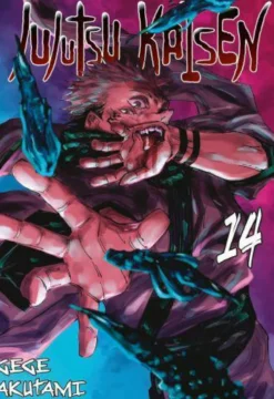 Jujutsu kaisen - tom 14