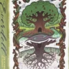 Karty do gry Everdell