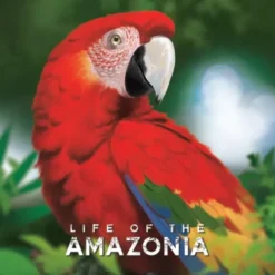 Life of the Amazonia