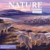 Nature: Module 4 - Arctic Tundra