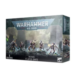 Necrons: Flayed (Warhammer 40,000 9th Edition)