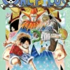 One Piece - tom 35