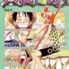 One Piece - tom 10