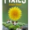Pixies: Flower Power