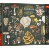 Puzzle 500 Finders Keepers: Grzyby