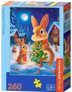 Puzzle 260 Preparing for Christmas
