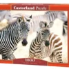 Puzzle 1000 Young Zebras