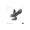 Reaper Miniatures: Hippogriff