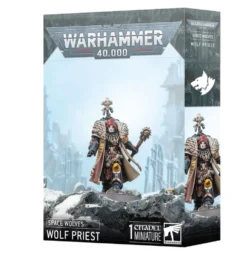 Space Wolves: Wolf Priest (Warhammer 40,000)