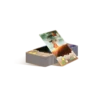 Unconscious Mind: Holofoil Dream Cards